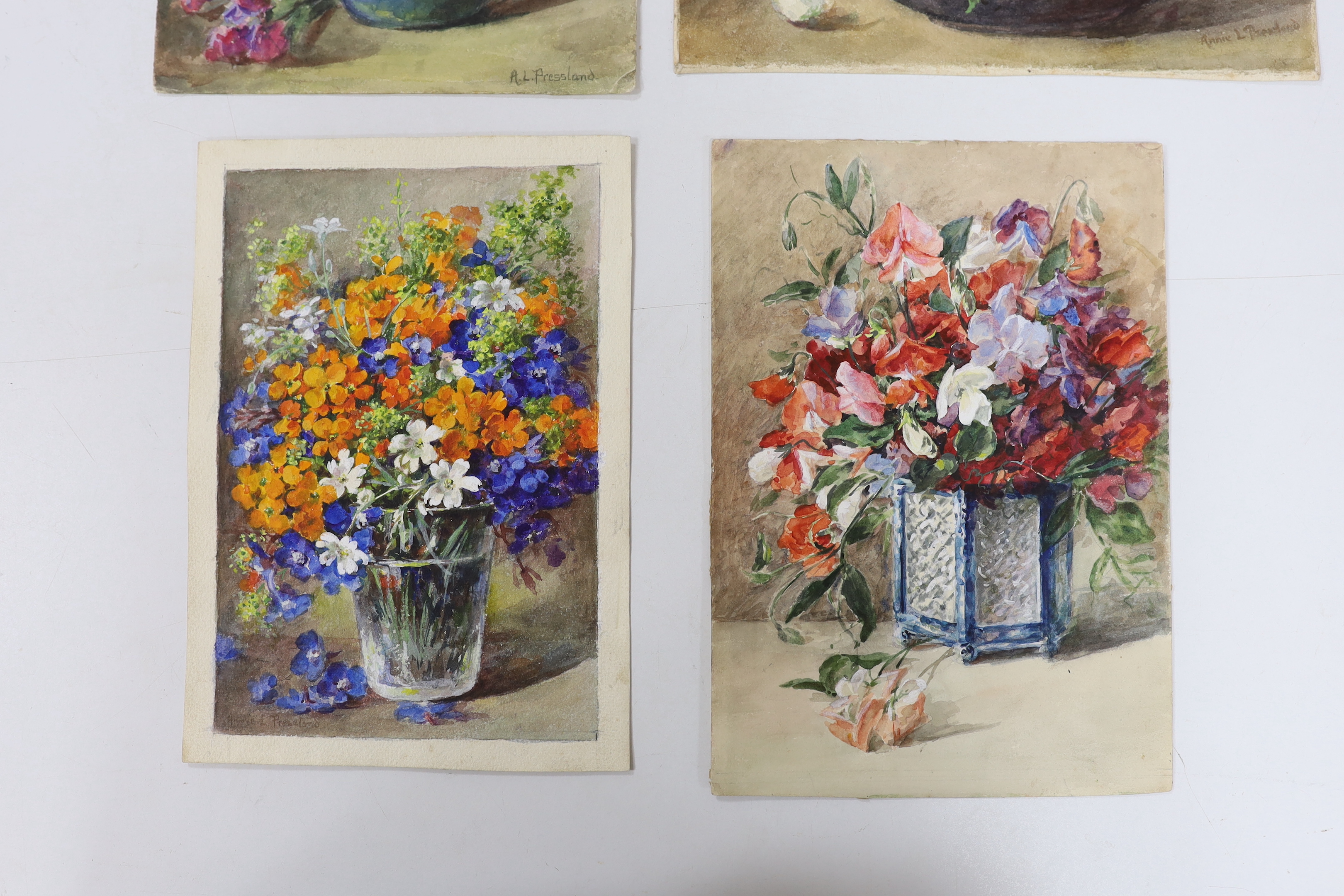 Annie Pressland (1862-1933), four watercolours on card, Begonias, Sweet Peas, Wallflowers and Stocks, two signed, largest 29 x 19cm, unframed